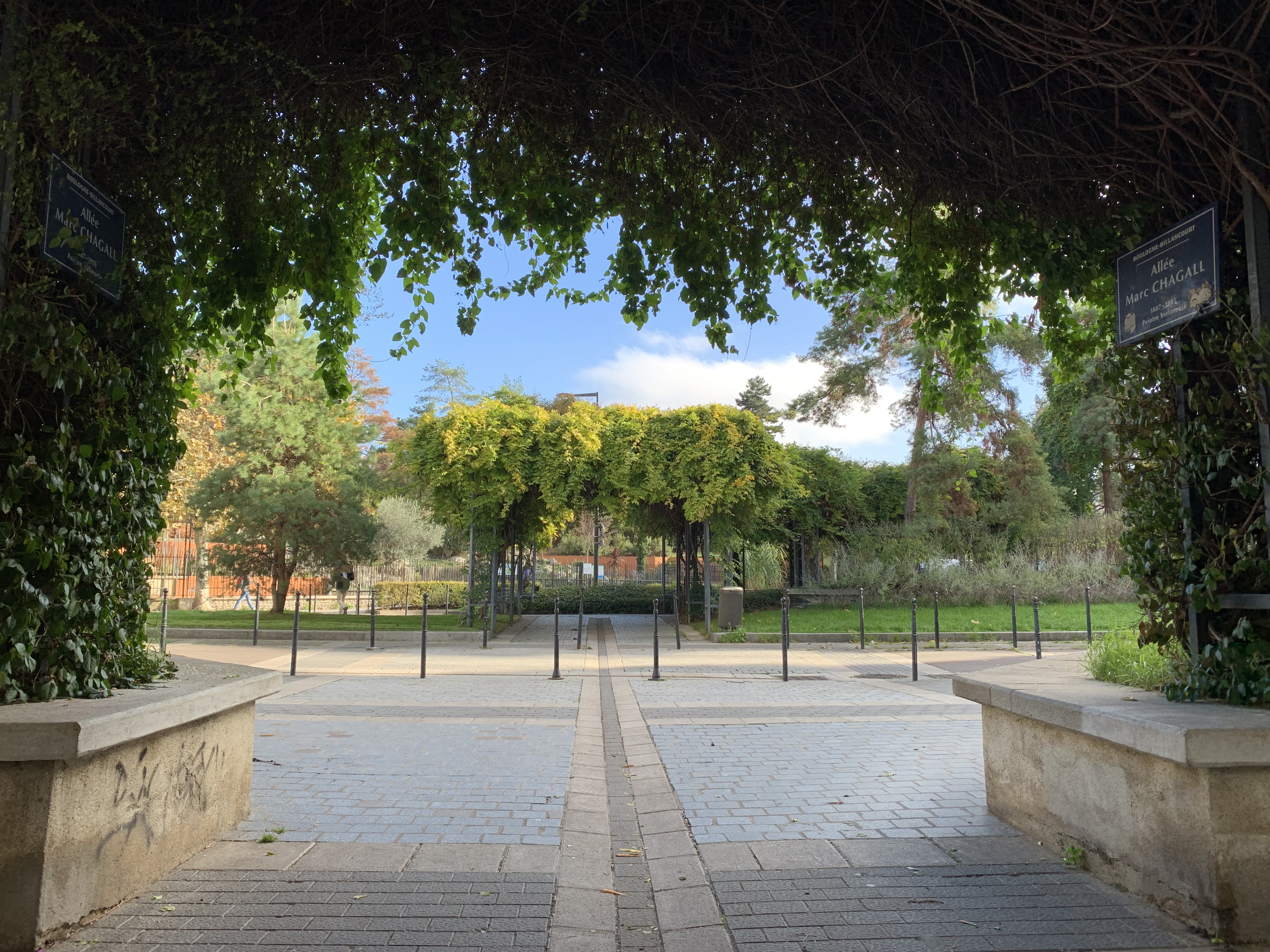 iphone xr review camera